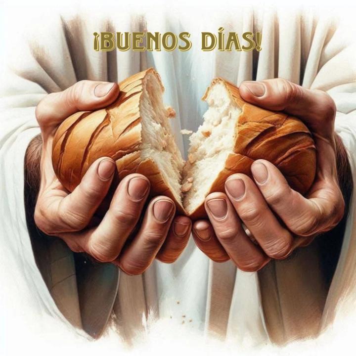 Img-perfil