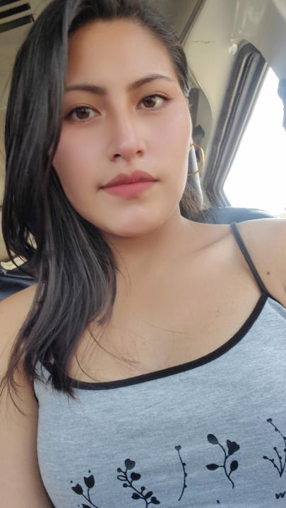 Noemi Elizabeth Pomalaza Abregu