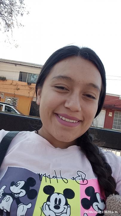 Img-perfil