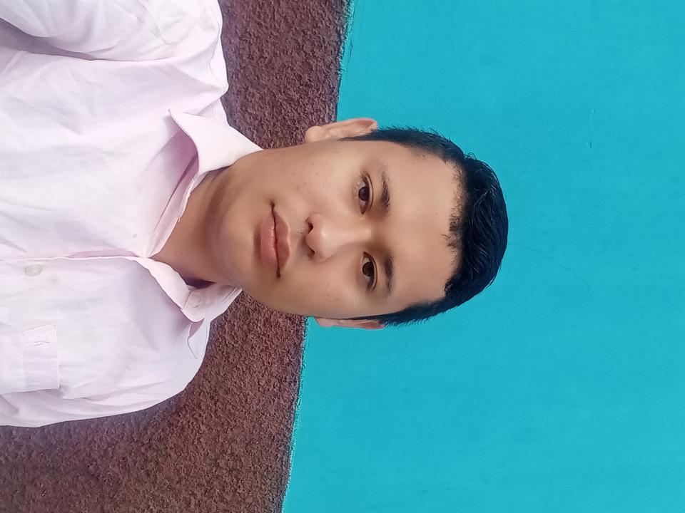 Img-perfil
