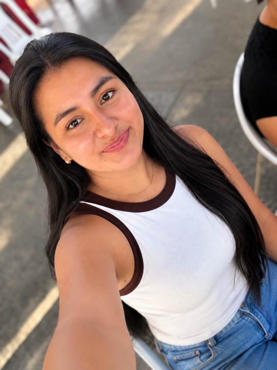 Img-perfil