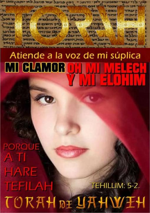 Img-perfil