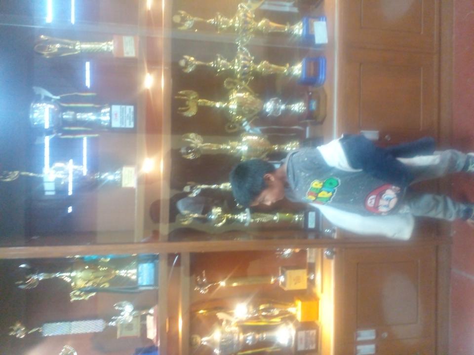 Img-perfil
