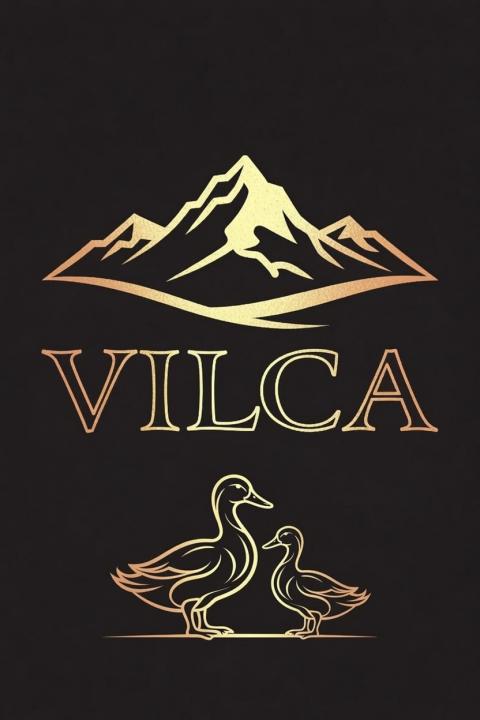 Sergio Vilca