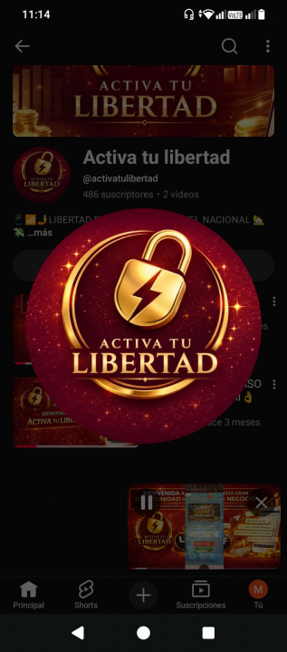 Img-perfil