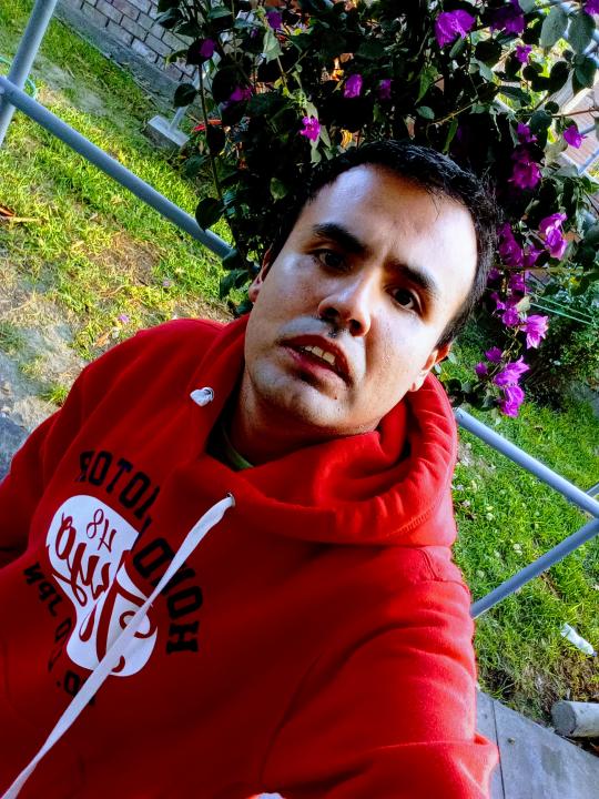 Img-perfil