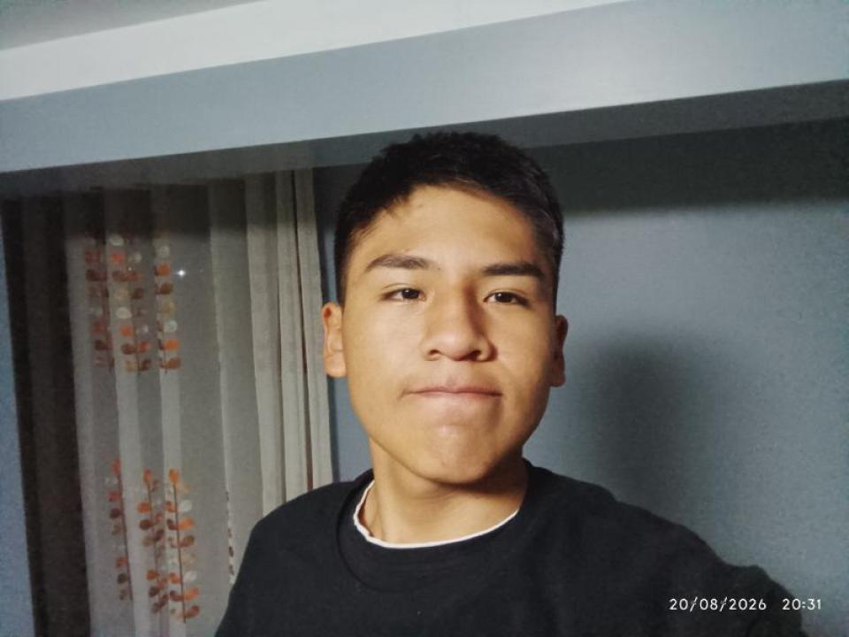 Benjamin jamal sucapuca zapana