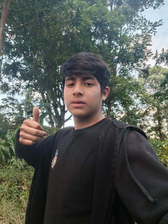 Img-perfil