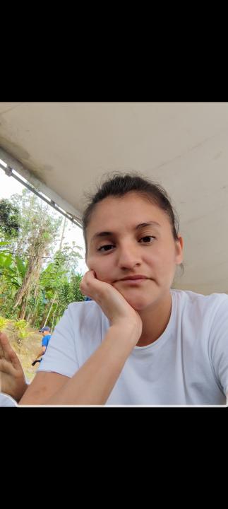Vilma janeth verdezoto arias