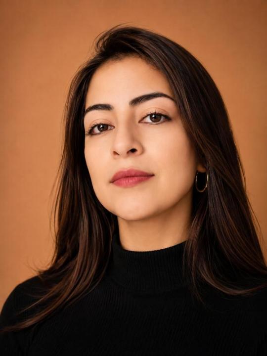 Ana lucia cobos matute