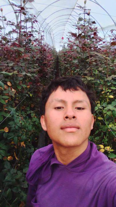 Roberth Grefa
