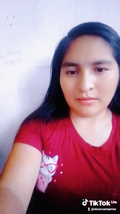 Elsa ccama arias